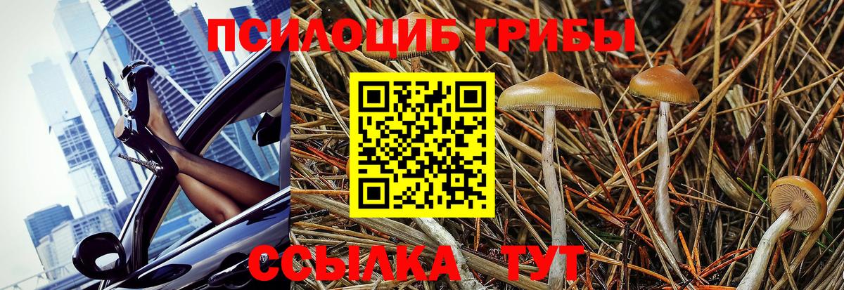 Галлюциногенные грибы Magic Shrooms  Вход с VPN  Тельмана  Псилоцибиновые грибы GOLDEN TEACHER 